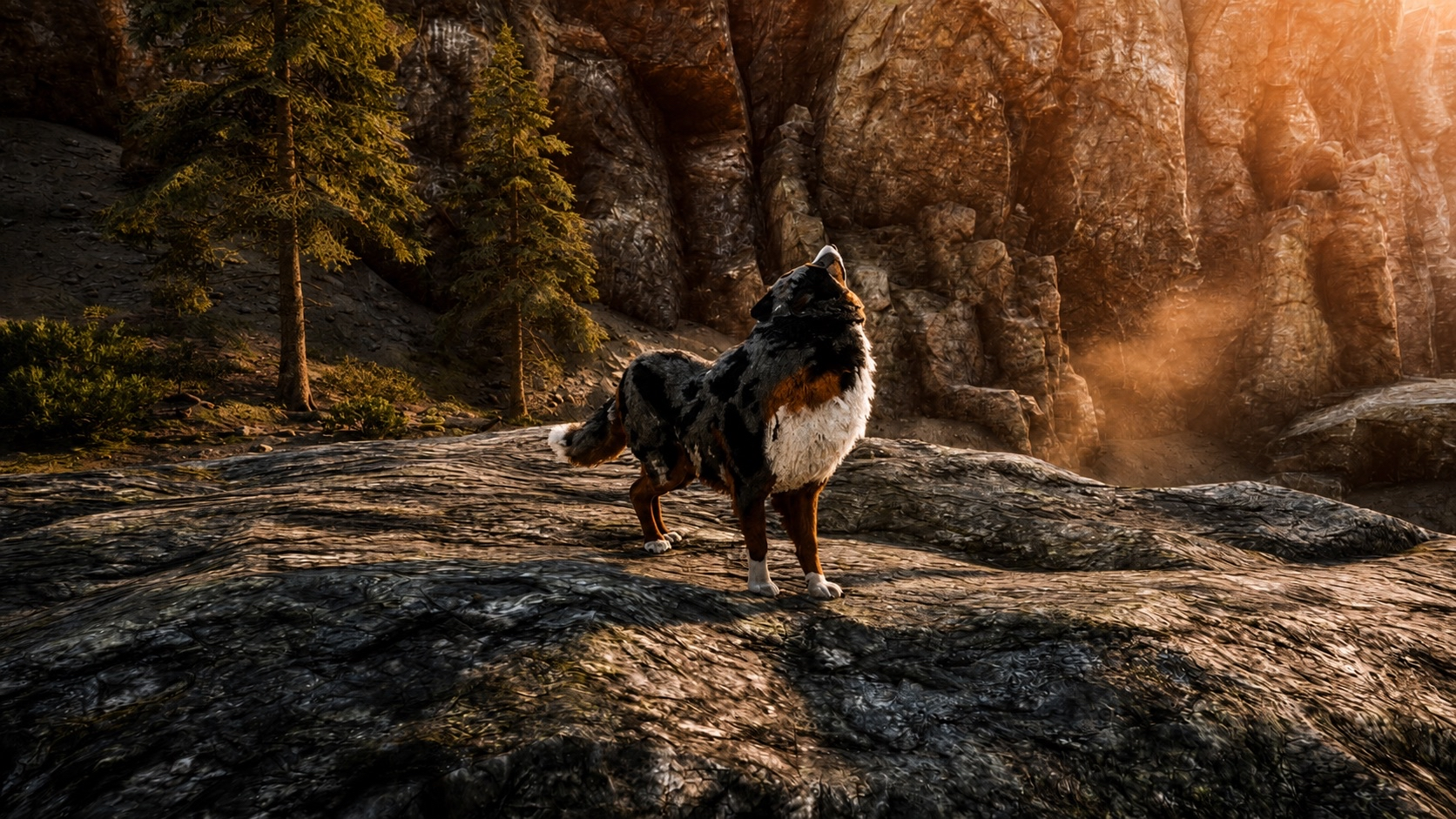 Howling At The Moon
